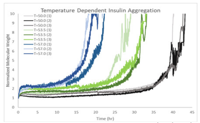 Figure 1 Insulin Aggregation